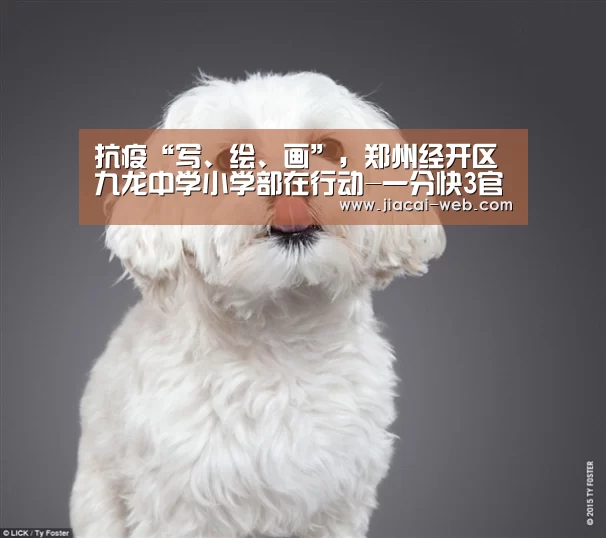 一分快3官网