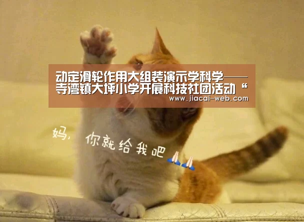 动定滑轮作用大组装演示学科学——寺湾镇大坪小学开展科技社团活动“一分快3”(图2) 一分快3走势分析